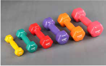 Dumbell (vinly)